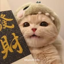 Ảnh đại diện images (3)