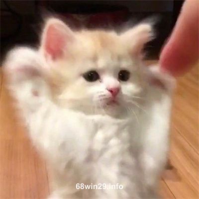 Agent